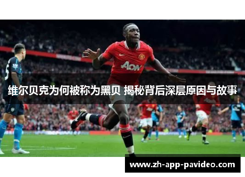 维尔贝克为何被称为黑贝 揭秘背后深层原因与故事