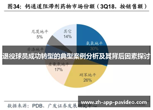 退役球员成功转型的典型案例分析及其背后因素探讨